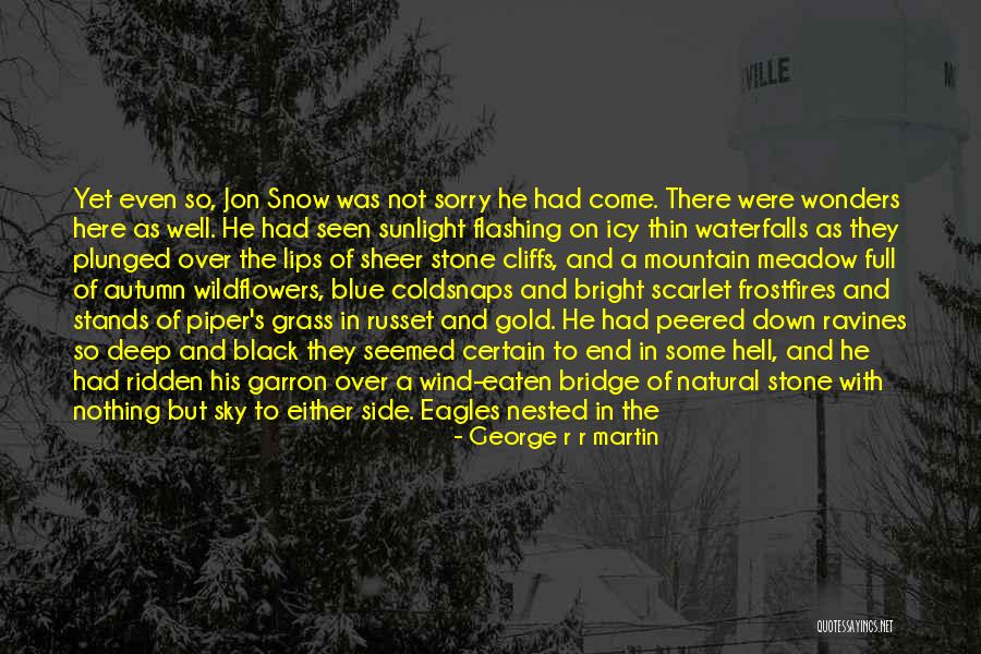 Great Eagles Quotes By George R R Martin Great Eagles Quotes By George R R Martin