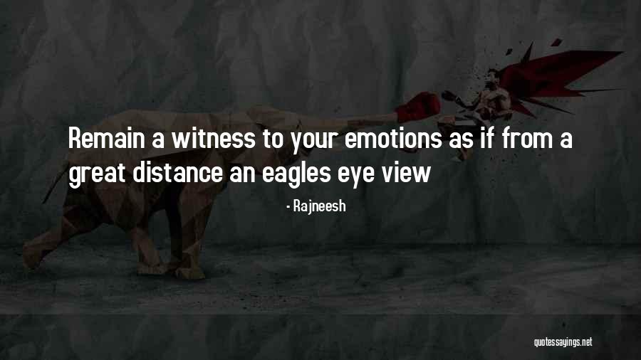 Great Eagles Quotes By Rajneesh