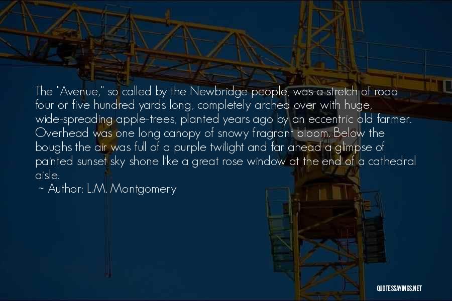 Great Eccentric Quotes By L.M. Montgomery