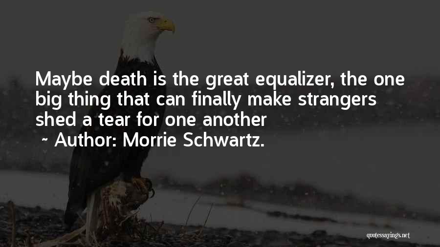 Great Equalizer Quotes By Morrie Schwartz.