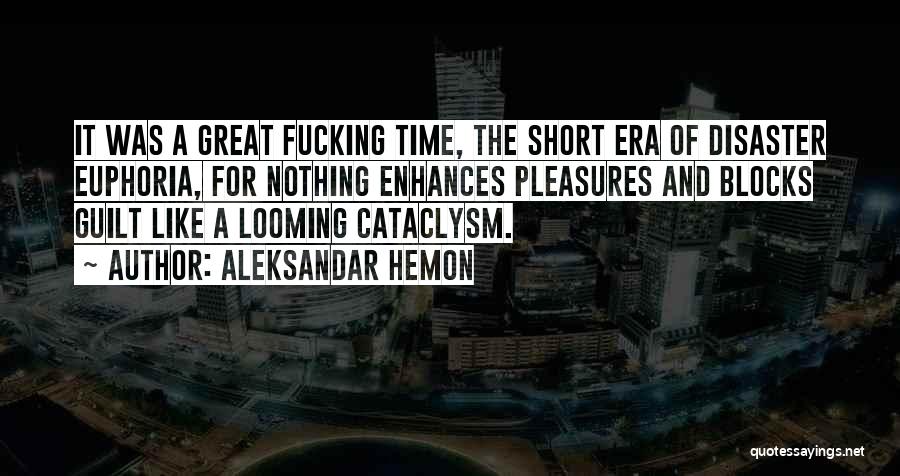 Great Euphoria Quotes By Aleksandar Hemon