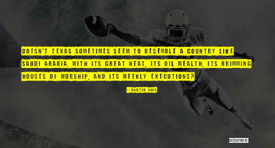 Great Executions Quotes By Martin Amis