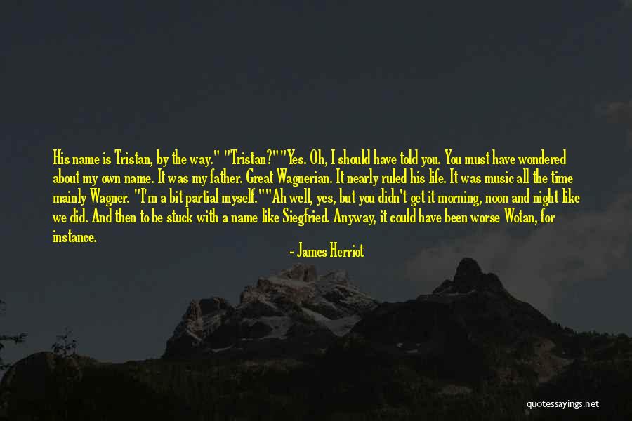 Great Father Quotes By James Herriot