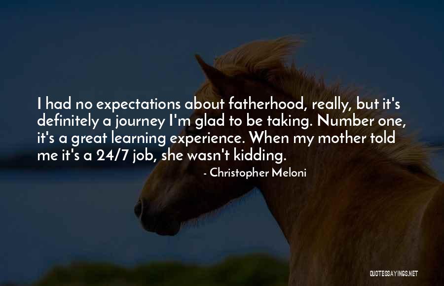 Great Fathers Quotes By Christopher Meloni