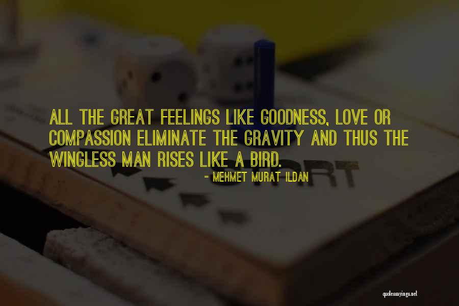 Great Feelings Quotes By Mehmet Murat Ildan Great Feelings Quotes By Mehmet Murat Ildan