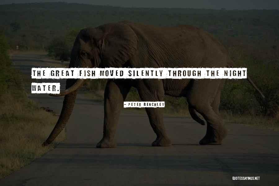 Great First Lines Quotes By Peter Benchley Great First Lines Quotes By Peter Benchley