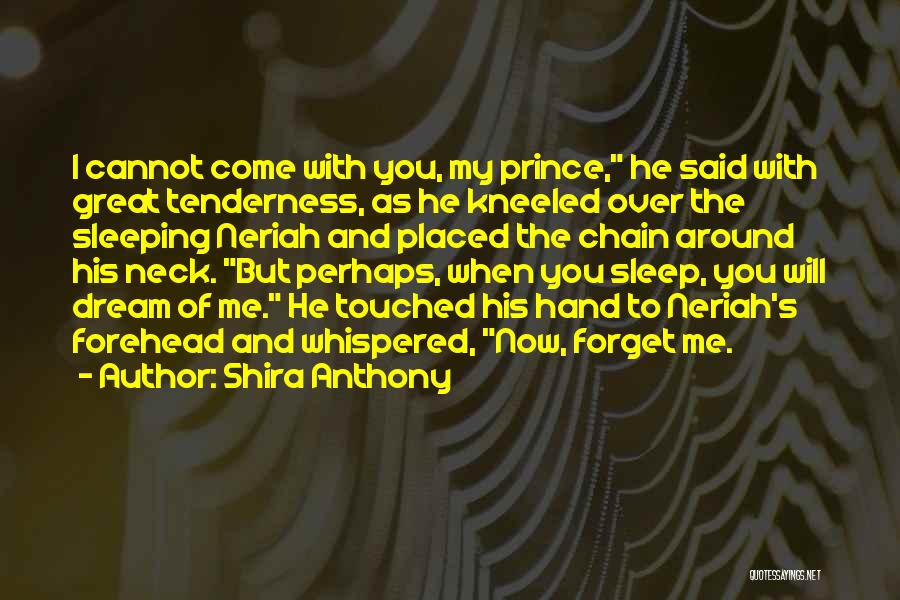 Great Forget Quotes By Shira Anthony