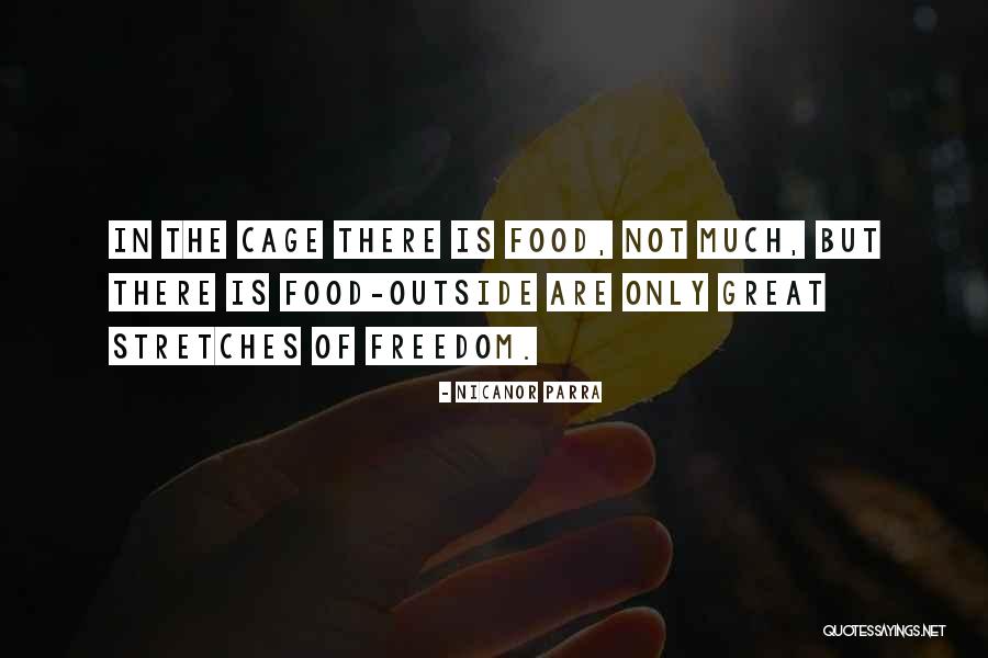 Great Freedom Quotes By Nicanor Parra Great Freedom Quotes By Nicanor Parra
