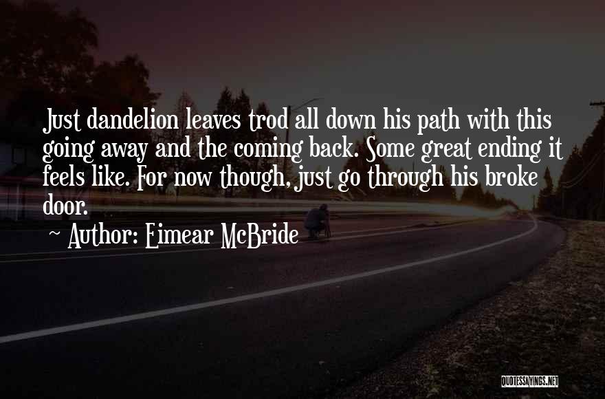 Great Going Away Quotes By Eimear McBride