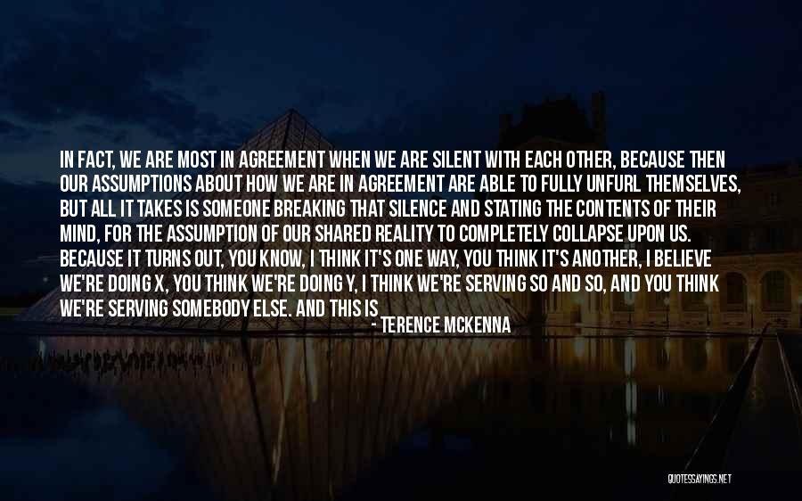 Great Going Out Quotes By Terence McKenna