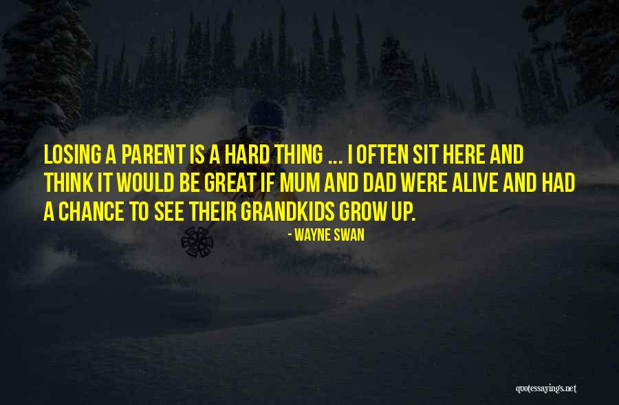 Great Grandkids Quotes By Wayne Swan Great Grandkids Quotes By Wayne Swan