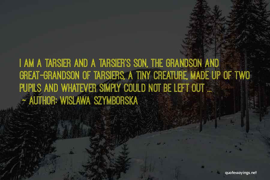 Great Grandson Quotes By Wislawa Szymborska