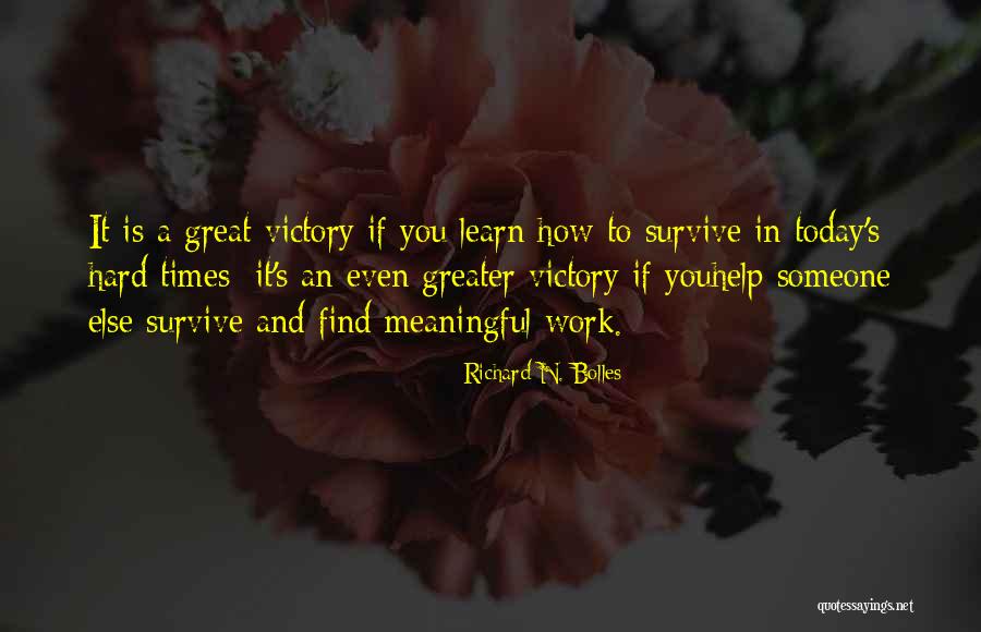 Great Hard Work Quotes By Richard N. Bolles