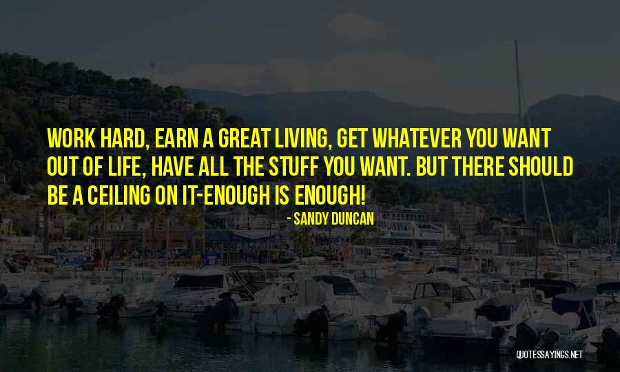 Great Hard Work Quotes By Sandy Duncan