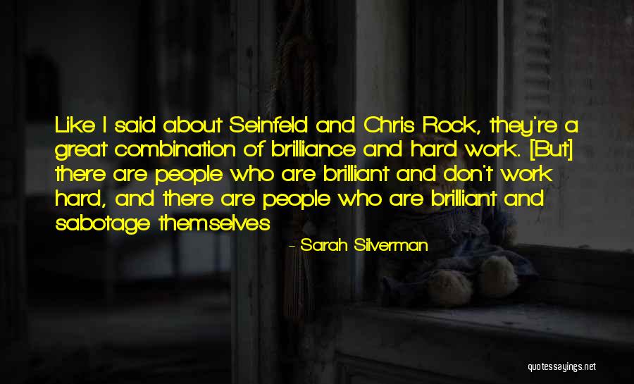 Great Hard Work Quotes By Sarah Silverman