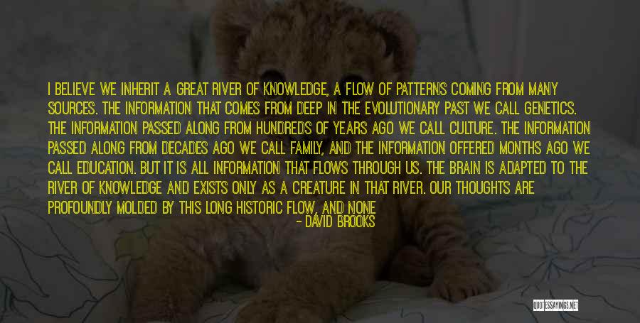 Great Historic Quotes By David Brooks Great Historic Quotes By David Brooks