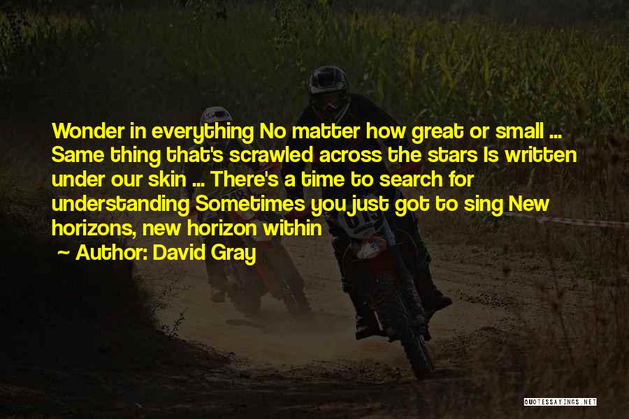 Great Horizon Quotes By David Gray