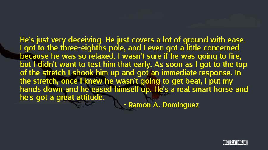 Great Horse Quotes By Ramon A. Dominguez