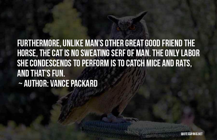 Great Horse Quotes By Vance Packard