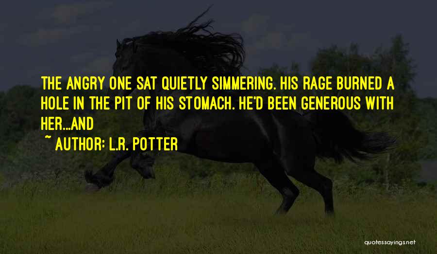 Great Ict Quotes By L.R. Potter