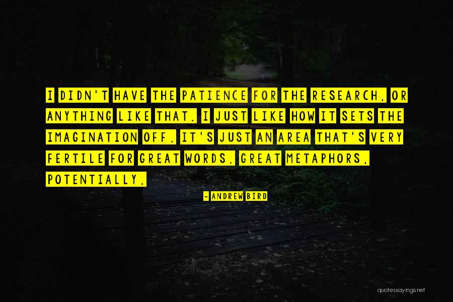 Great Imagination Quotes By Andrew Bird Great Imagination Quotes By Andrew Bird