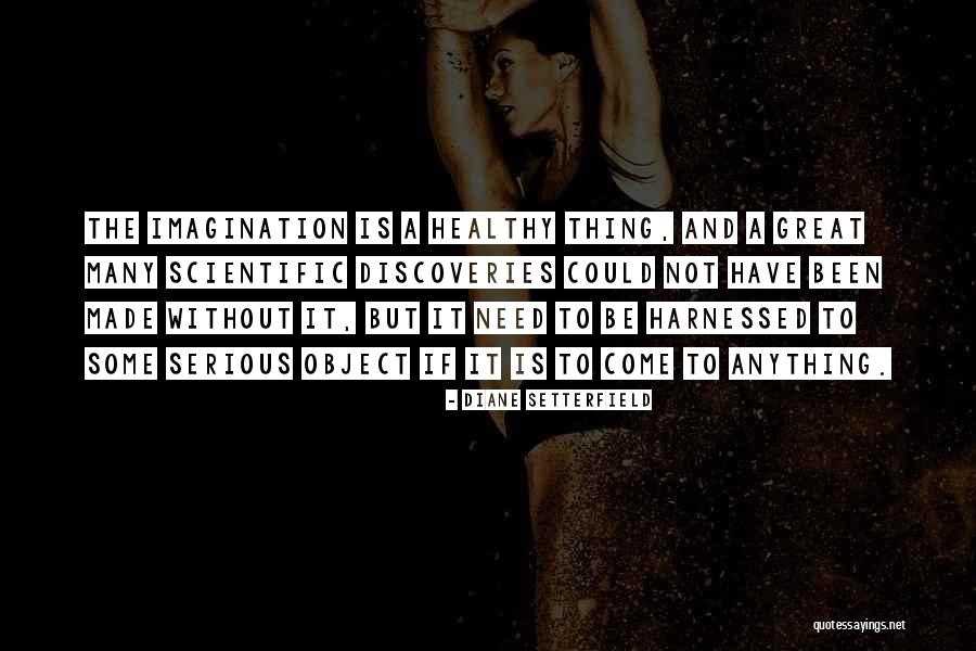 Great Imagination Quotes By Diane Setterfield Great Imagination Quotes By Diane Setterfield