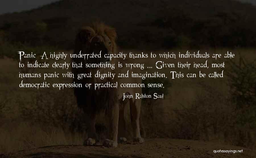 Great Individuals Quotes By John Ralston Saul