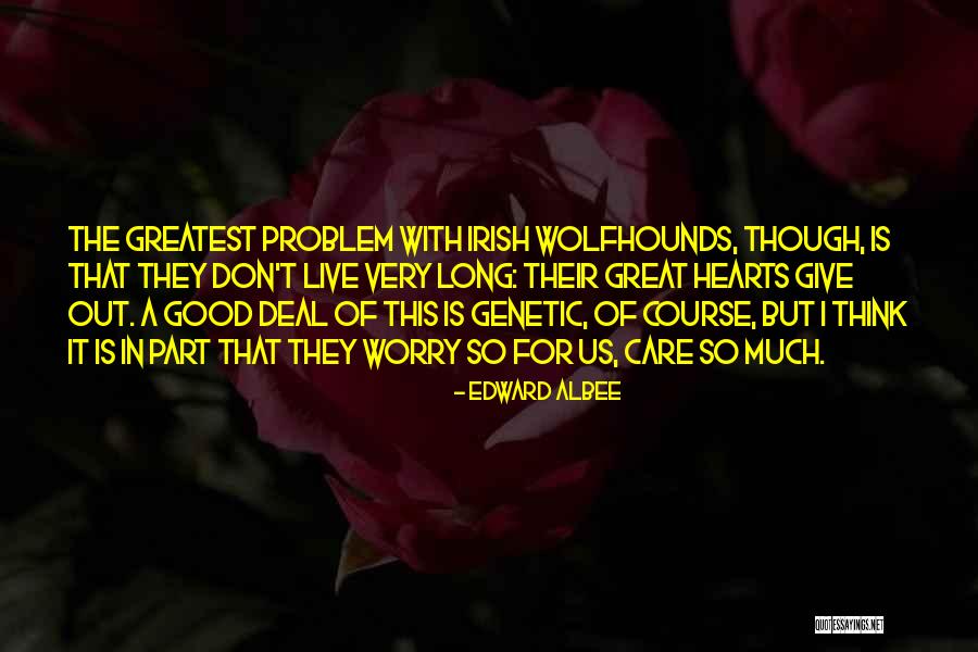Great Irish Quotes By Edward Albee Great Irish Quotes By Edward Albee