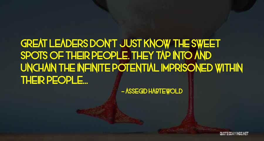 Great Leadership And Success Quotes By Assegid Habtewold Great Leadership And Success Quotes By Assegid Habtewold
