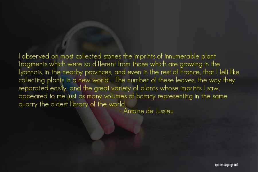 Great Library Quotes By Antoine De Jussieu Great Library Quotes By Antoine De Jussieu
