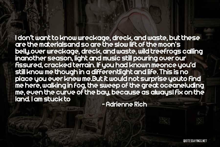 Great Life And Death Quotes By Adrienne Rich