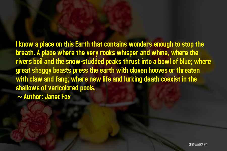 Great Life And Death Quotes By Janet Fox