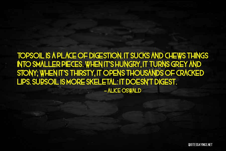 Great Life Coaching Quotes By Alice Oswald Great Life Coaching Quotes By Alice Oswald