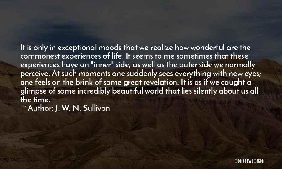 Great Life Experiences Quotes By J. W. N. Sullivan