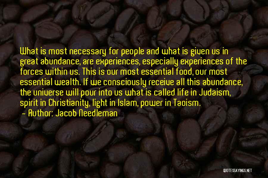 Great Life Experiences Quotes By Jacob Needleman