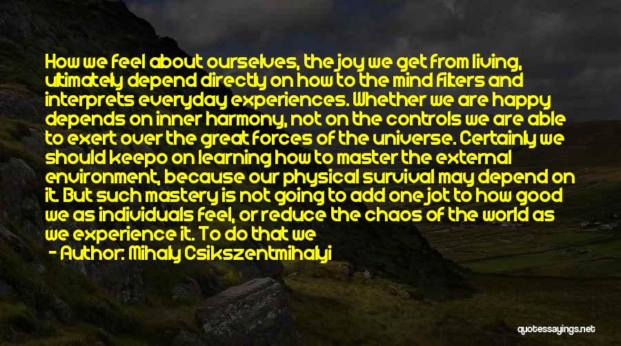 Great Life Experiences Quotes By Mihaly Csikszentmihalyi