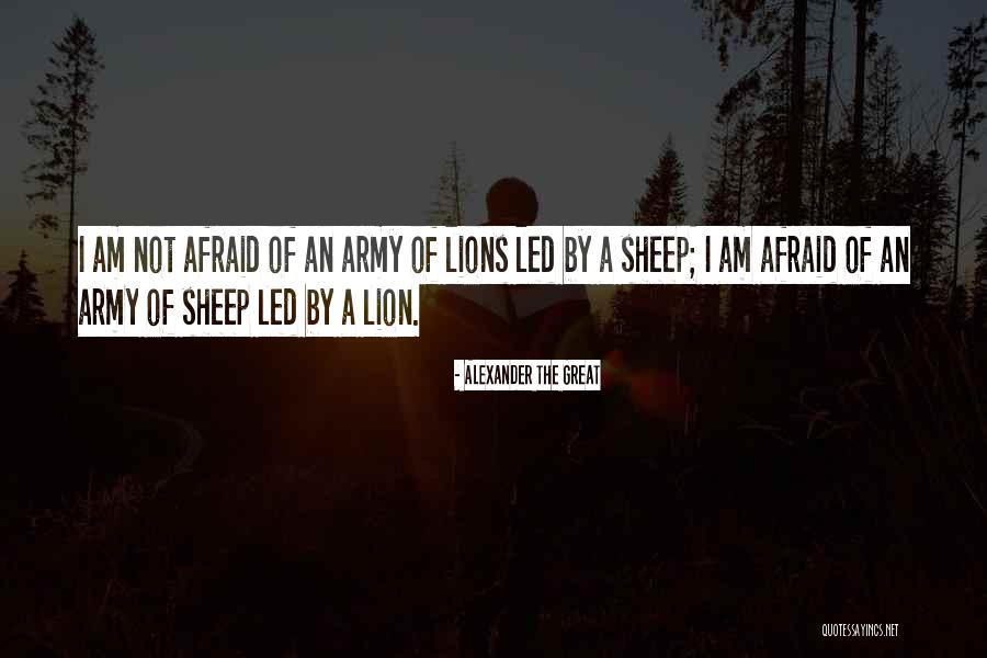 Great Lion Quotes By Alexander The Great