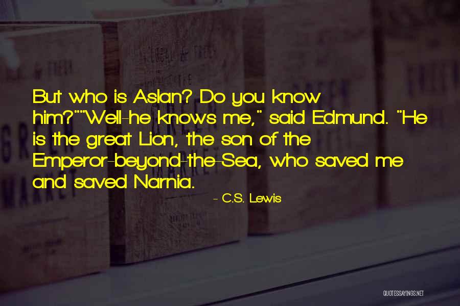 Great Lion Quotes By C.S. Lewis