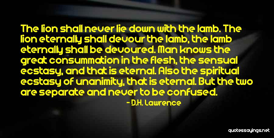 Great Lion Quotes By D.H. Lawrence