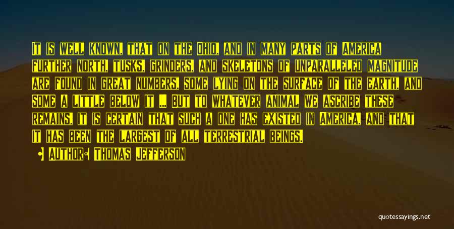 Great Little Known Quotes By Thomas Jefferson Great Little Known Quotes By Thomas Jefferson