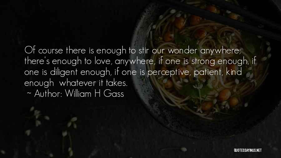 Great Metaphysical Quotes By William H Gass