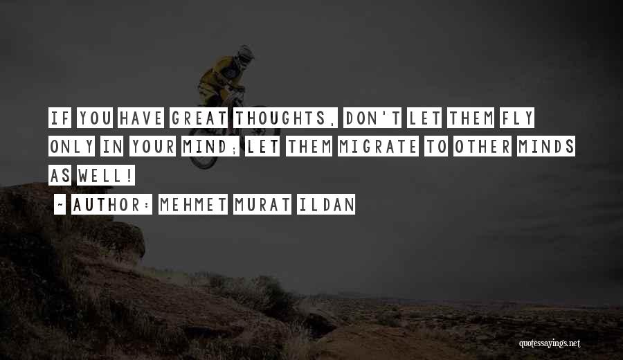 Great Minds Thoughts Quotes By Mehmet Murat Ildan