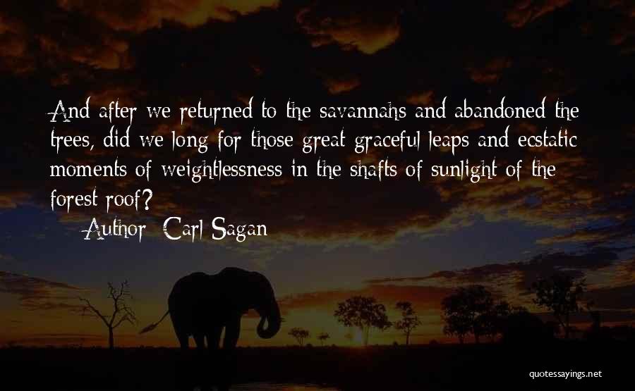 Great Moments Quotes By Carl Sagan