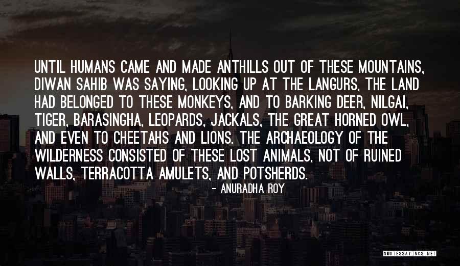 Great Mountains Quotes By Anuradha Roy Great Mountains Quotes By Anuradha Roy