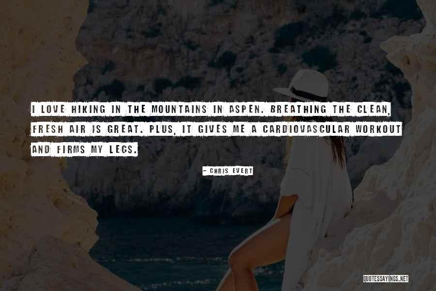 Great Mountains Quotes By Chris Evert Great Mountains Quotes By Chris Evert