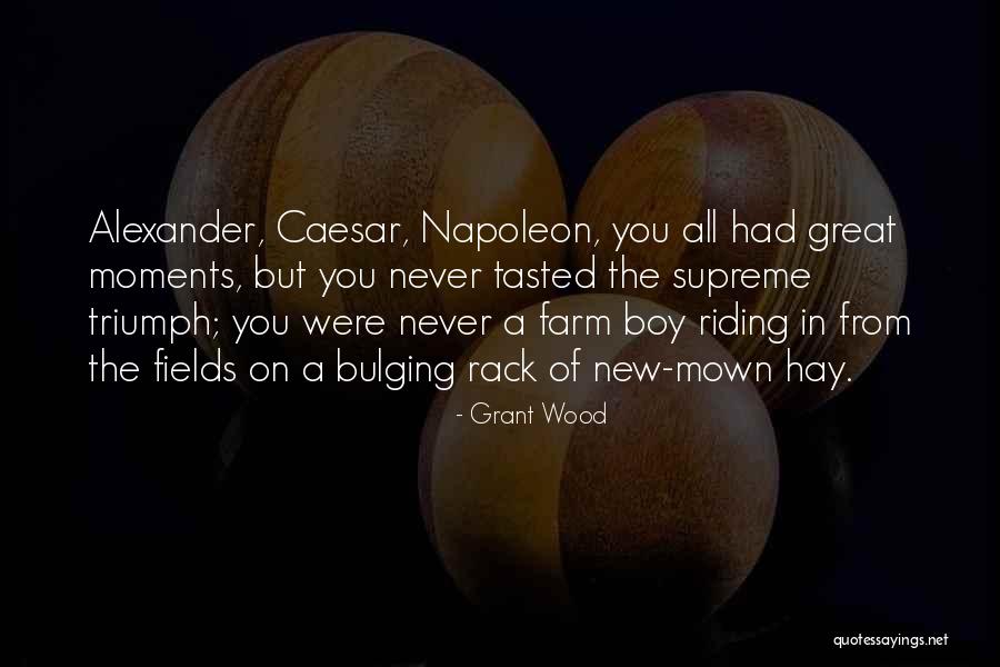 Great Napoleon Quotes By Grant Wood