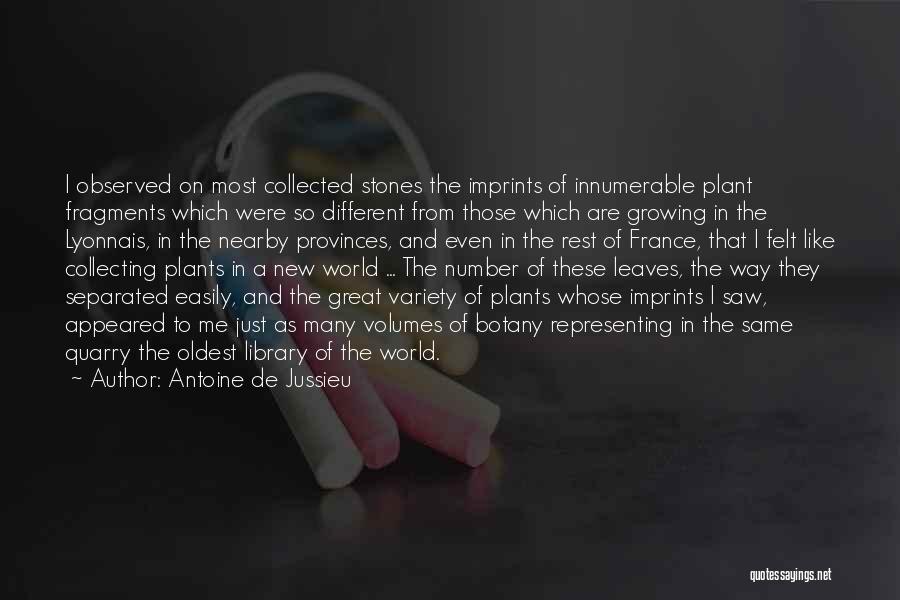 Great Naturalist Quotes By Antoine De Jussieu