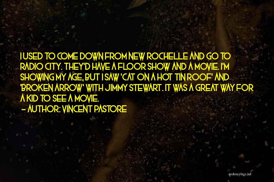 Great New Age Quotes By Vincent Pastore