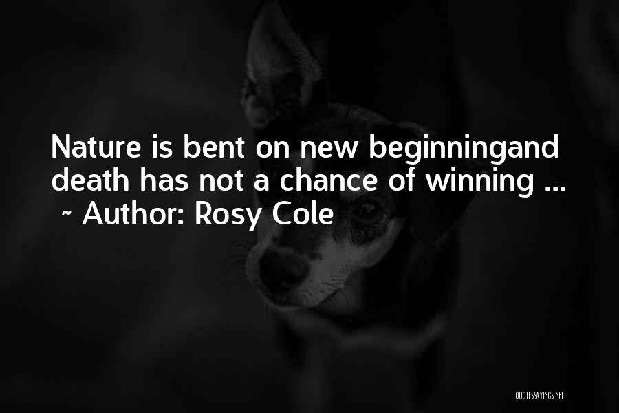 Great New Beginning Quotes By Rosy Cole