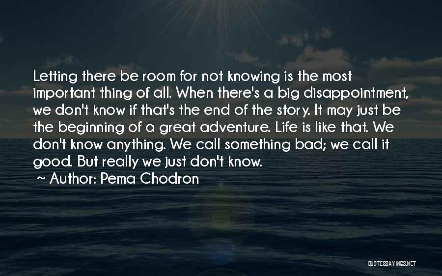 Great New Beginnings Quotes By Pema Chodron